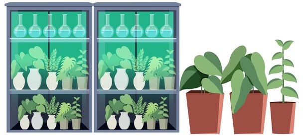 Plant shelves or green house illustration - Vector, Image