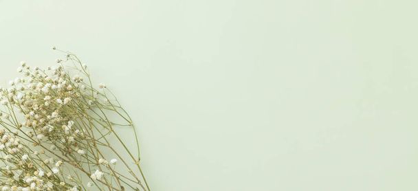 Fiori di gypsophila su sfondo verde pastello. Lato piatto, vista dall'alto, minimalismo, spazio vuoto - Foto, immagini