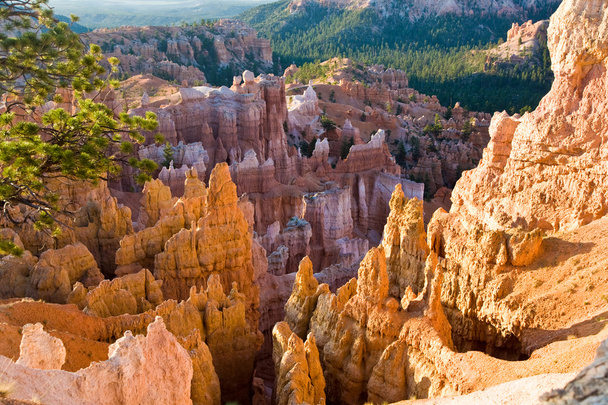 gyönyörű táj, bryce canyon, a gyönyörű kő forma - Fotó, kép