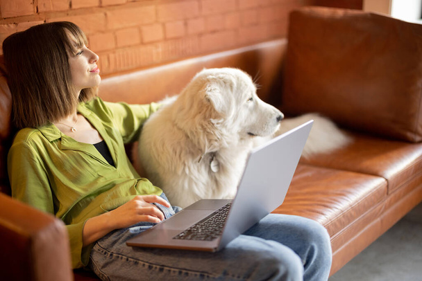 Mulher trabalha no computador portátil enquanto se senta com seu cachorro bonito em um sofá em casa - Foto, Imagem