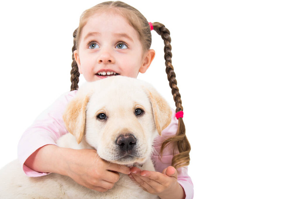 Portrait of cute little girl hugging labrador puppy isolated on white background - Foto, afbeelding