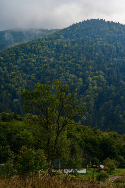 hegyi rét a reggeli fényben, hegyi völgy a ködben a füves dombon, a természet frissességének fogalma, montenegrói tájak. - Fotó, kép