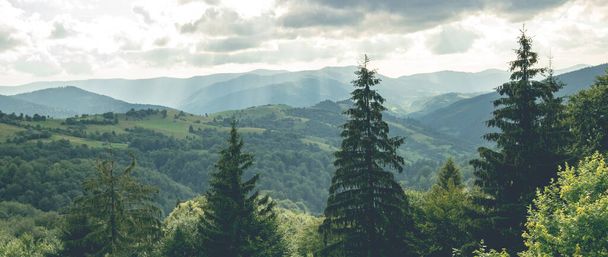 Mountains landscape with forest - 写真・画像