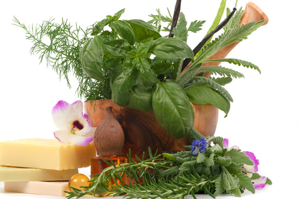 Terapia herbal
 - Foto, Imagen