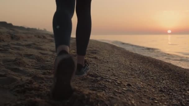 Zbliżenie szczupła kobieta nogi chodzenie piaszczystej plaży o zachodzie słońca. Dziewczyna stąpająca po wybrzeżu  - Materiał filmowy, wideo