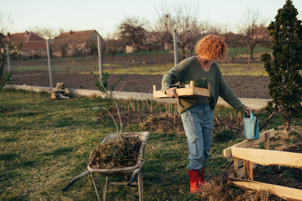 woman gardening vegetables in her backyard - Valokuva, kuva