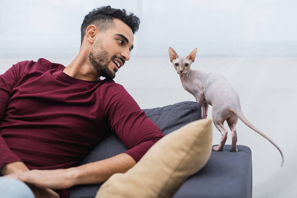 Lächelnder muslimischer Mann schaut Sphinx-Katze zu Hause auf Couch an  - Foto, Bild