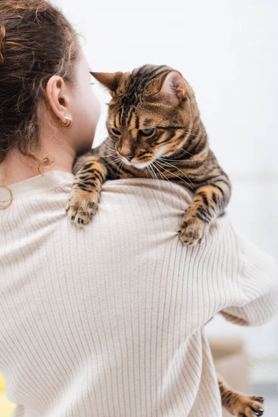 Curly woman holding bengal cat at home  - Valokuva, kuva