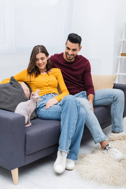 Multiethnic couple looking at blurred sphynx cat in living room  - Photo, image