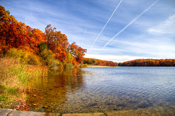 Autumn Lakeshore - Photo, Image