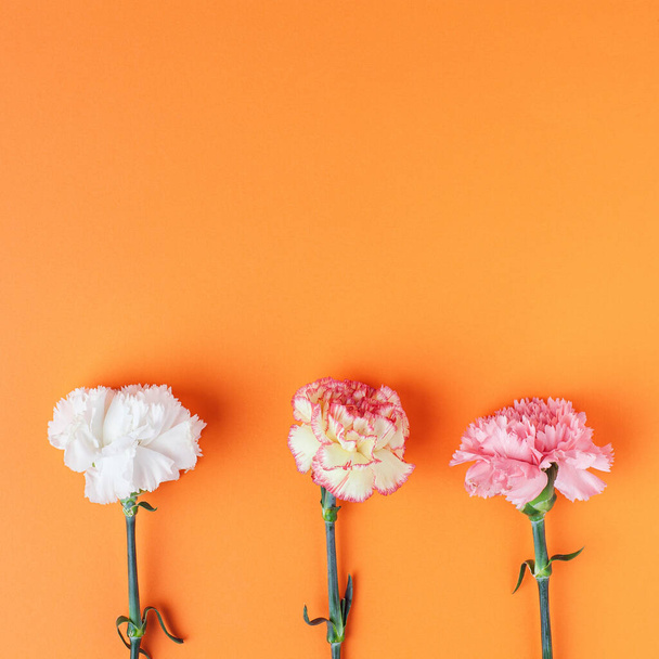Trois motifs de fleurs d'oeillet sur fond orange riche. Composition carrée simple. - Photo, image