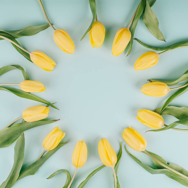Yellow tulip flowers circular pattern on light mint background. Simple square flat lay composition with soft light and copy space. - Foto, Bild