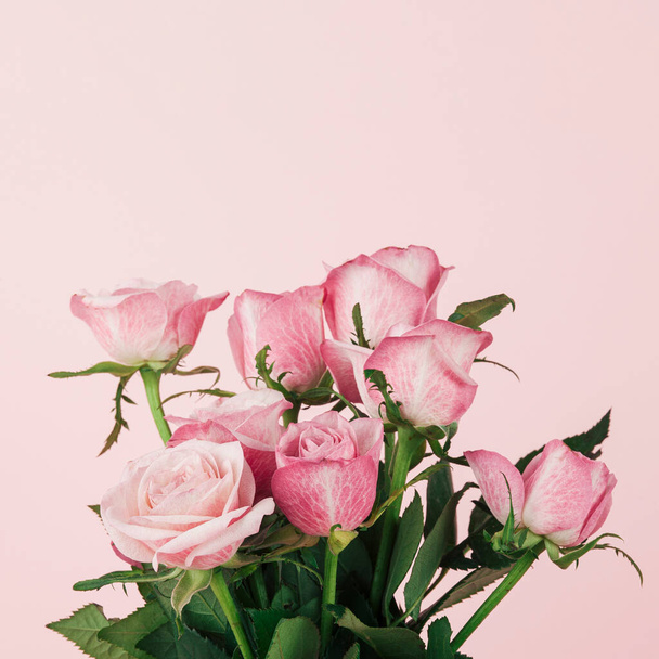 Detail of pink roses. Soft light composition with flowers in lower and copy space in upper part. - Foto, Imagem