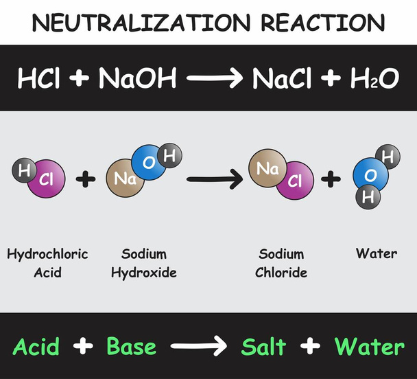 Neutralización Reacción Infografía Diagrama con ejemplo de ácido clorhídrico reaccionando con hidróxido de sodio produciendo cloruro de sodio y agua para química ciencia educación vector - Vector, Imagen