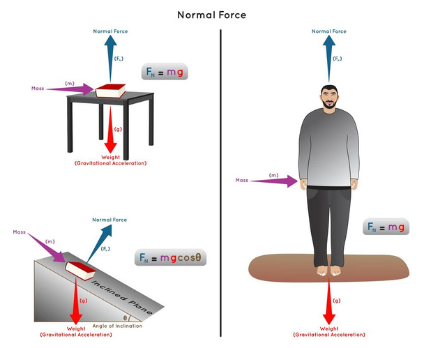 Normal Force Infografika Diagram z przykładami książki na stole i na płaszczyźnie pochyłej człowiek stojący na masie podłogi waga przyspieszenie grawitacyjne kąt pochylenia fizyka nauka wektor edukacji - Wektor, obraz