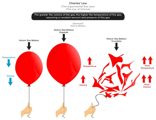 Charles Law Infographic Diyagram Örnek helyum balonu hacim arttığında gaz miktarı basınç sabit deney fizik eğitim vektörü - Vektör, Görsel