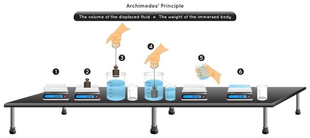 Archimedes Principle Experiment Infographic Diagram example weight digital scale immersed body fluid container volume displaced water equal body weight lab observation physics science education vector - Vector, Image