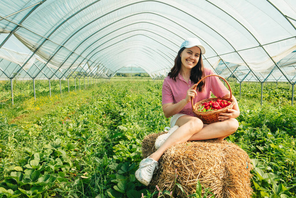 mujer recogiendo fresas en la granja vitaminas - Foto, imagen