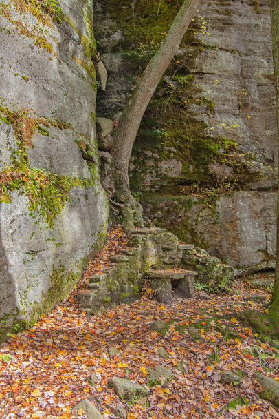 autumn landscape with a path - Valokuva, kuva