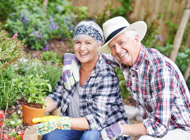 Osztozunk a kertészkedés szeretetében. Egy boldog nyugdíjas pár kertészkedik a kertjükben.. - Fotó, kép