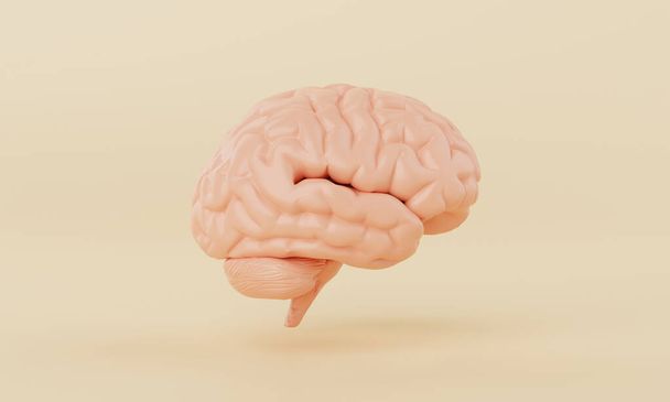 Modello di cervello arancio semplice mente su sfondo giallo. Sanità medica e concetto di oggetto astratto. rendering illustrazione 3D - Foto, immagini