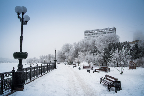 雪ドネツク、ウクライナ. - 写真・画像