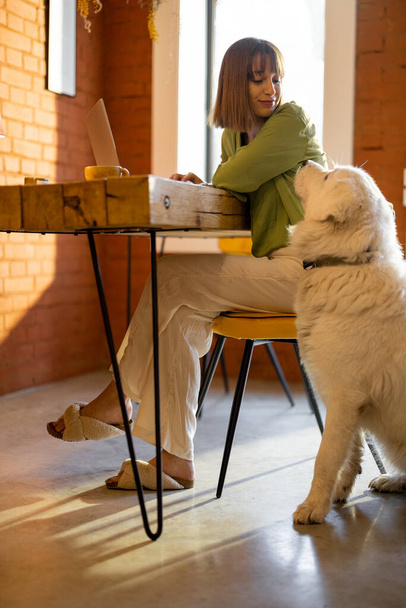 Frau arbeitet mit Hund in gemütlichem Wohnzimmer am Laptop - Foto, Bild