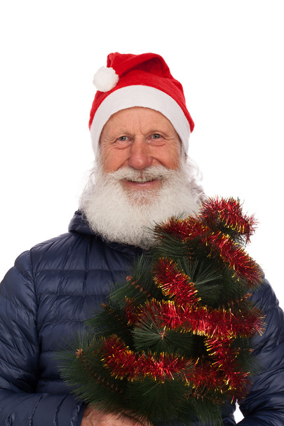 Portrait of Santa Claus - Foto, Bild