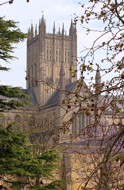 A view of Wells cathedral through the trees in spring - Фото, изображение