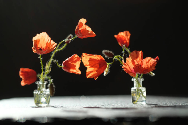 Bouquet of poppies. Shadow on a black stone surface. - Fotoğraf, Görsel