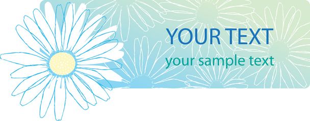 Beautiful camomile floral banner. - Vector, Imagen