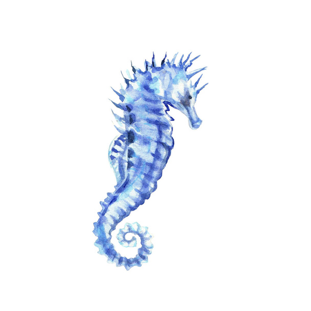 Blue sea horse. Underwater life object isolated on white background. Hand drawn watercolor illustration. Clip art. Can be used for posters, souvenirs, labels, websites, postcards, stickers - Foto, imagen