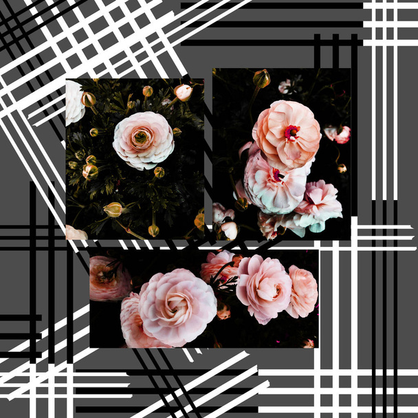 krásné květiny s geometrickým vzorem - Fotografie, Obrázek