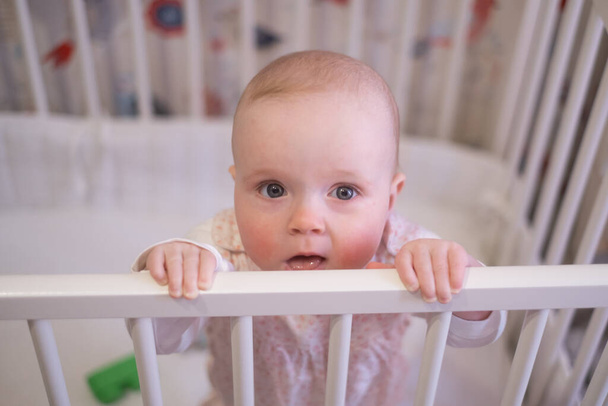 Cute little baby standing in crib at home. Waking up on the morning. - Photo, Image