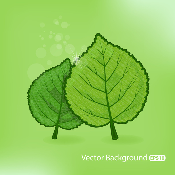 Vector Natural illustration - Vektor, obrázek