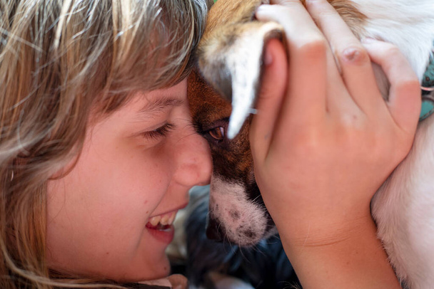 gelukkig tiener meisje gevonden haar vriend, jack russell terrier, horizonta - Foto, afbeelding