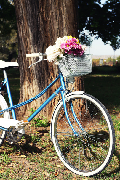 Bicycle with flowers in metal basket on park background - Photo, image