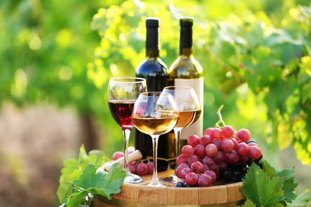 Tasty wine on wooden barrel on grape plantation background - Fotó, kép