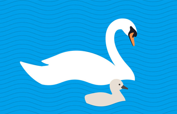 swan baby swimming in the lake with its mother, vector illustration - ベクター画像
