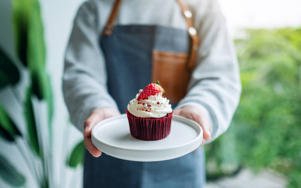 A waitress holding and serving a piece of red velvet cupcake - 写真・画像
