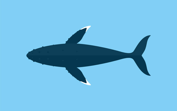 Bultrug walvissen zwemmen in de zee, dierlijke platte pictogram - Vector, afbeelding