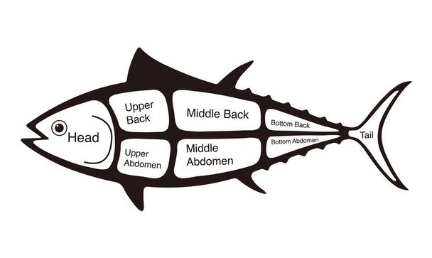 Ton balığı kesimi diyagramı, vektör çizimi - Vektör, Görsel