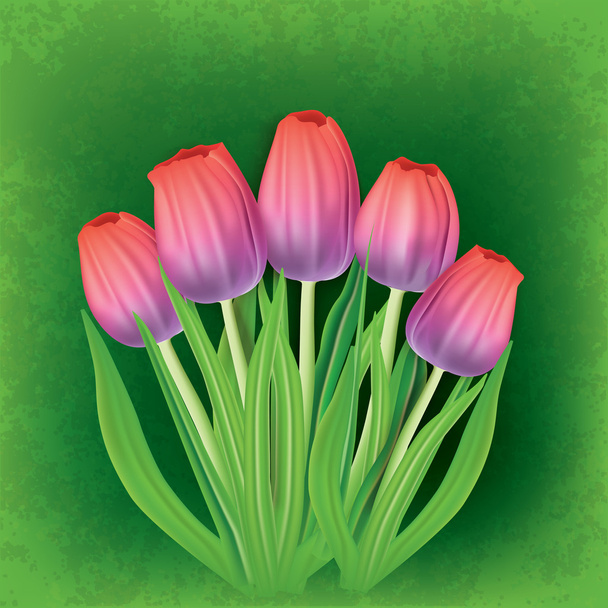 ilustracja kwiatowy tło z tulipany - Wektor, obraz