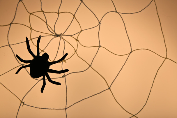 Spider on web. Halloween decoration concept - Zdjęcie, obraz