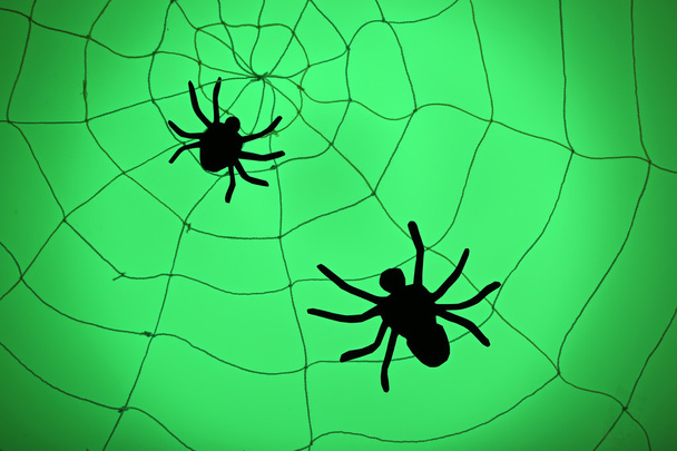 Spiders on web. Halloween decoration concept - Valokuva, kuva