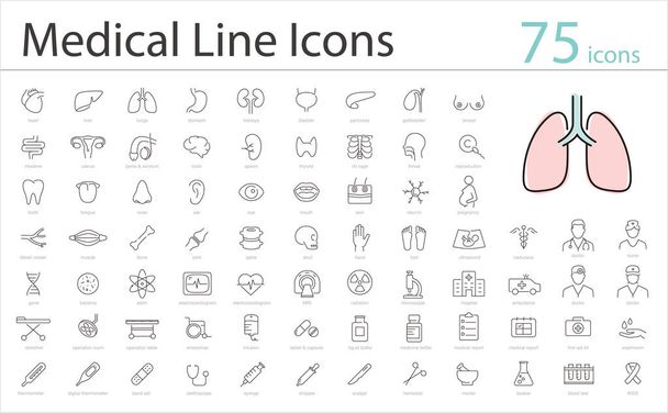 Human Organs icoon set, medische iconen, vectorillustratie - Vector, afbeelding