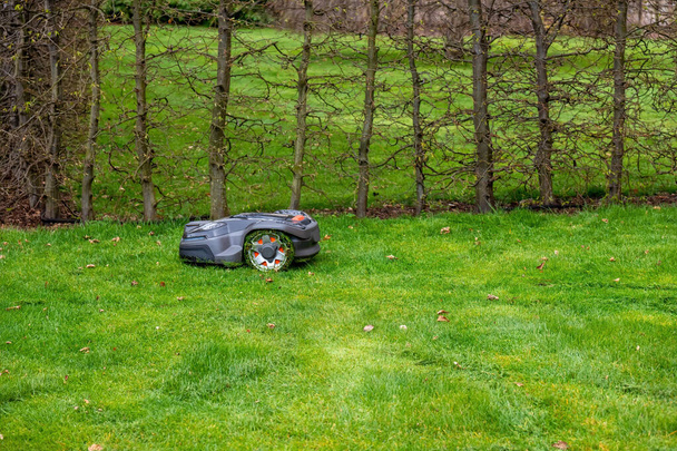 mała kosiarka robotyczna wiosną na łące - Zdjęcie, obraz