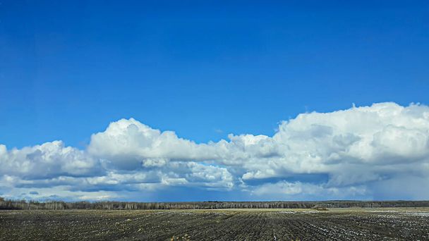 Tiempo de siembra en Ucrania durante la guerra. Preparando campos para sembrar grano. Cielo azul, tierra arada. terror. - Foto, Imagen