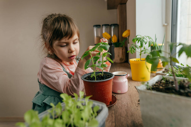 Pequena menina regando plantas. Casa jardinagem com crianças no parapeito da janela da cozinha. Foco seletivo. - Foto, Imagem