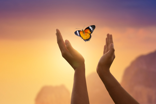 Девушка освобождает бабочку с момента Концепции свободы - Фото, изображение